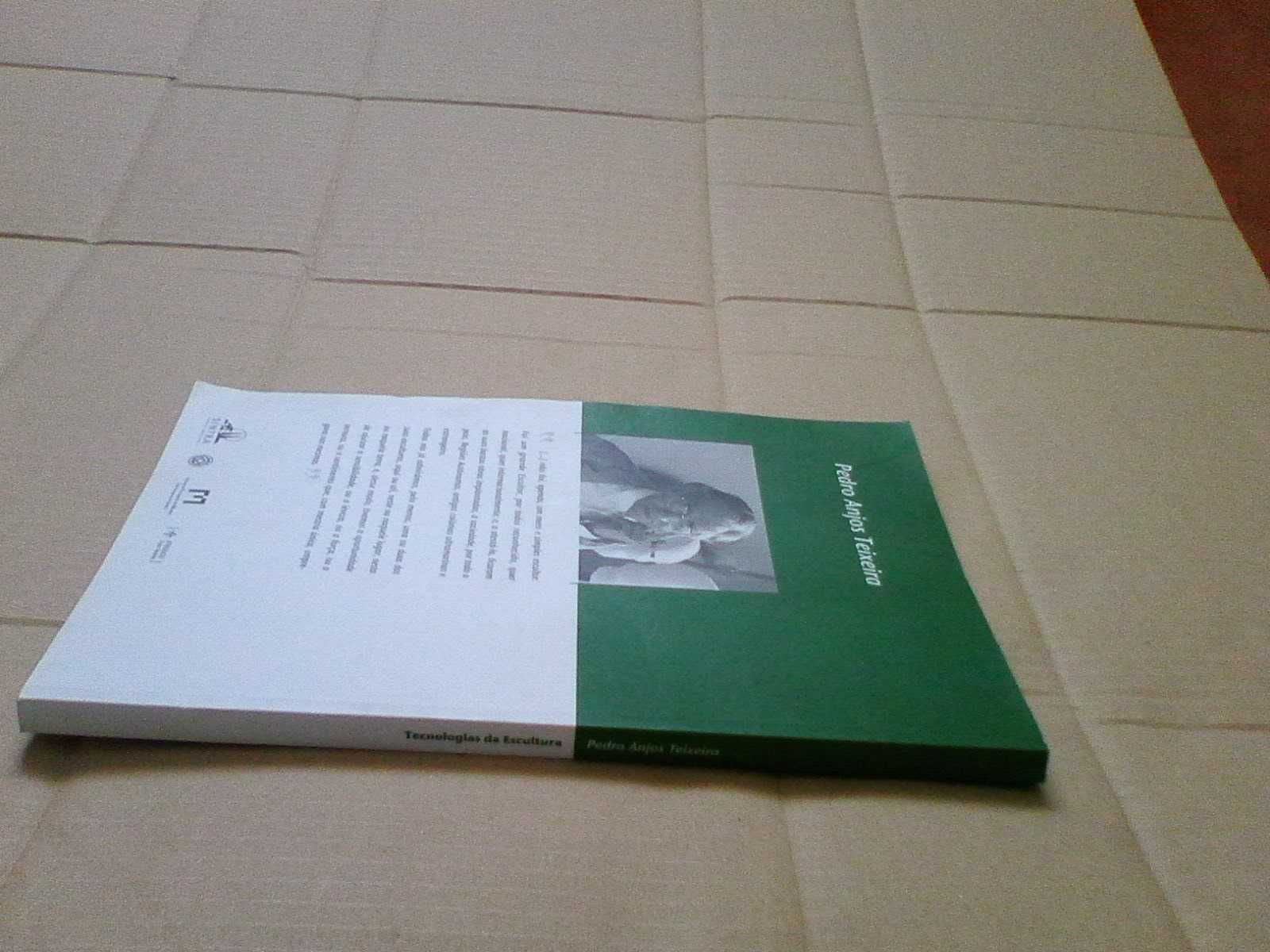 Tecnologias Da Escultura