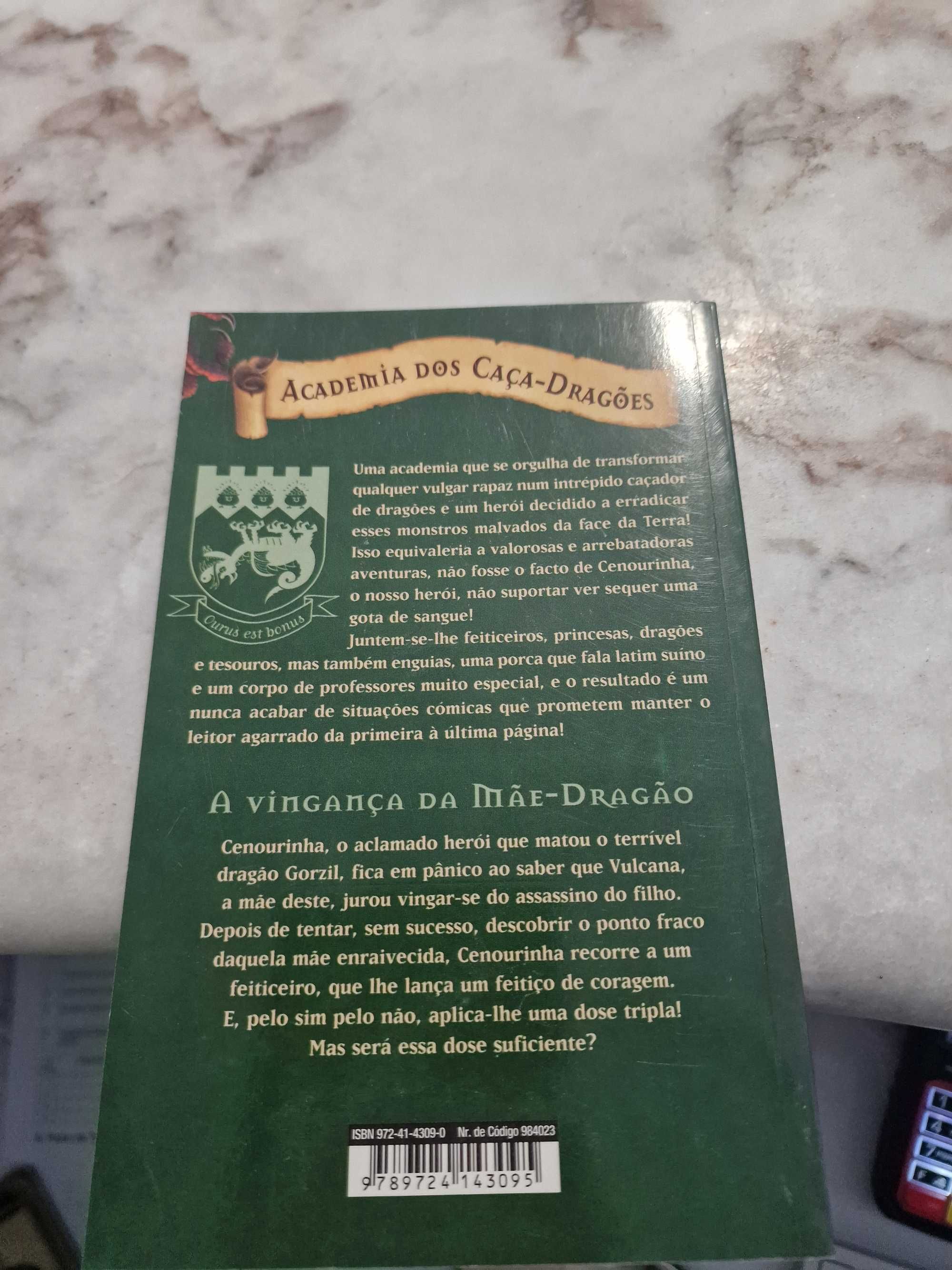 Academia dos Caça Dragões - a Vingança da Mãe-Dragão