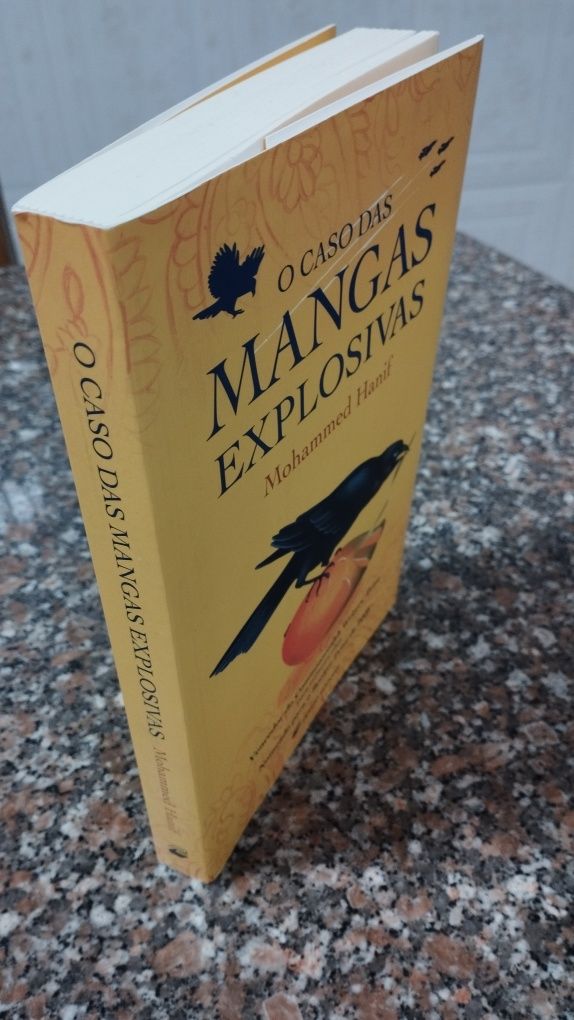 Livro "O Caso das Mangas Explosivas"