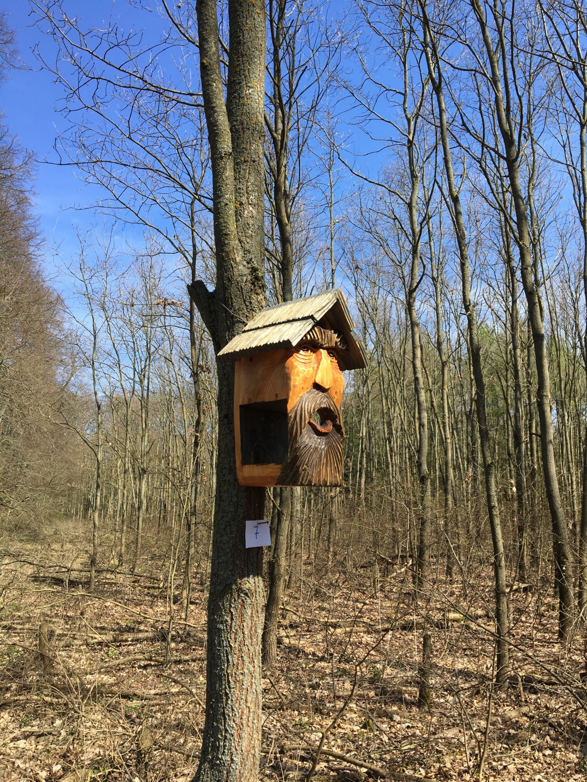Budka dla ptaków z karmnikiem – „Bajkowy Dziadek”