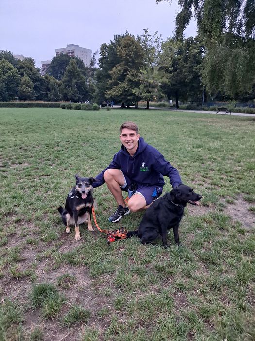 Behawiorysta - Zoopsycholog