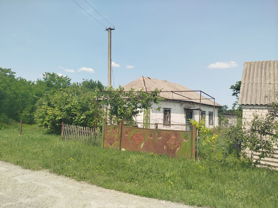 Будинок з земельною ділянкою Петриківка