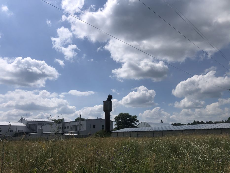 Будинок безкоштовно 50км Київ,Церква,газове опалення,груба,огород 30со