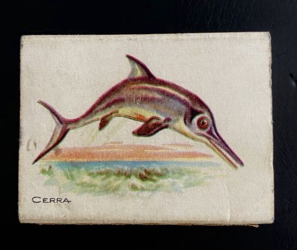 Caixa de Fósforos | Cerra (Ictiosaurio)