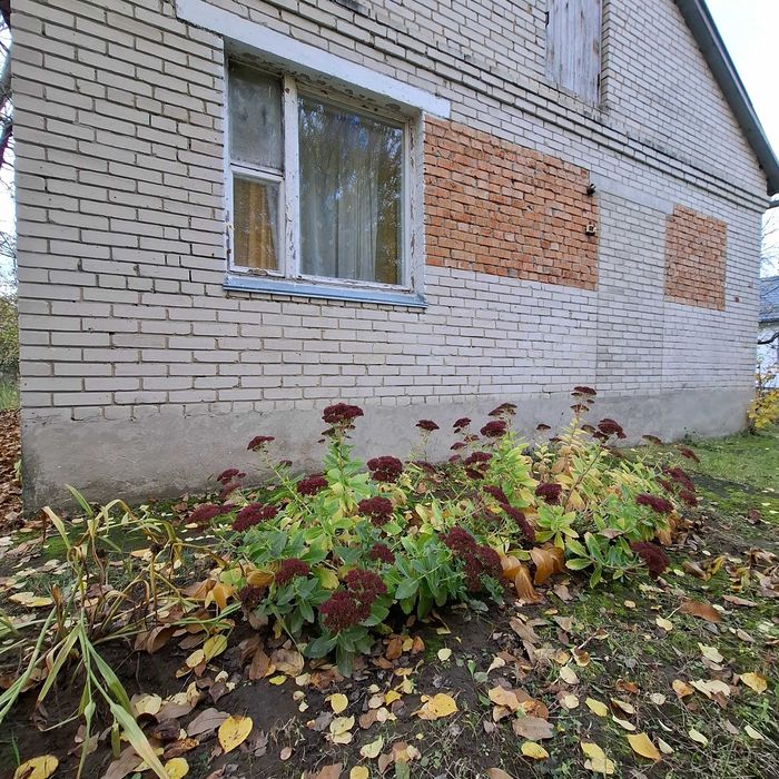 Будинок з великою територією