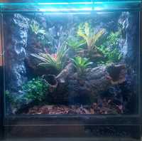 Terrarium 80x50x80