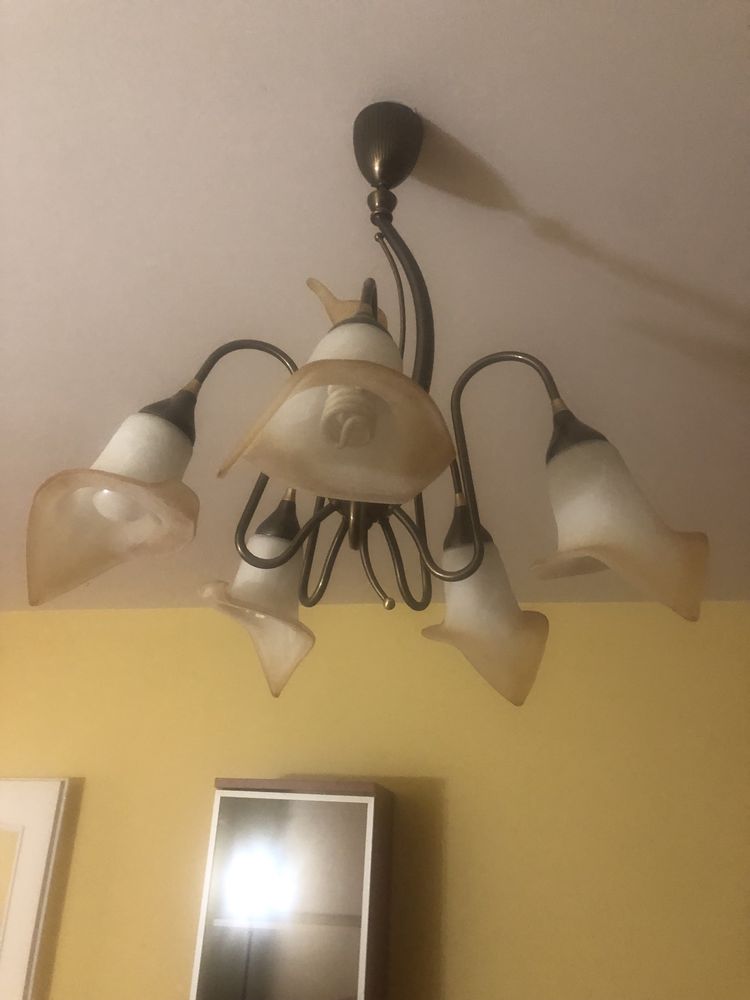 Żyrandol i lampa podlogowa