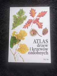 Atlas drzew i krzewów ozdobnych książka