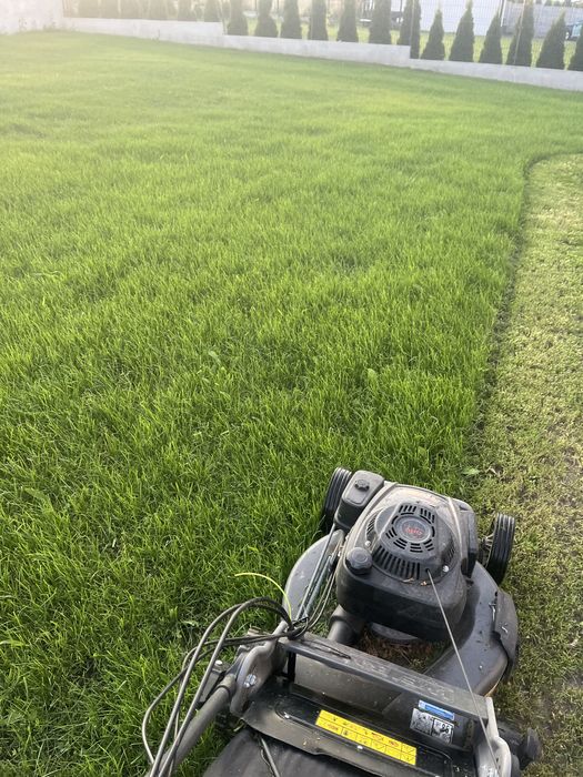 Usługi Ogrodnicze Caregreen