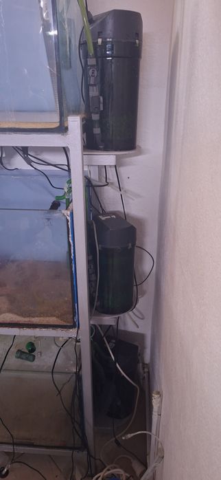 Aquários e estruturas