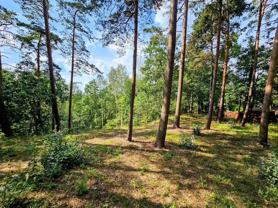 działka w pierwszej linii brzegowej widokiem na jezioro w lesie Mazury