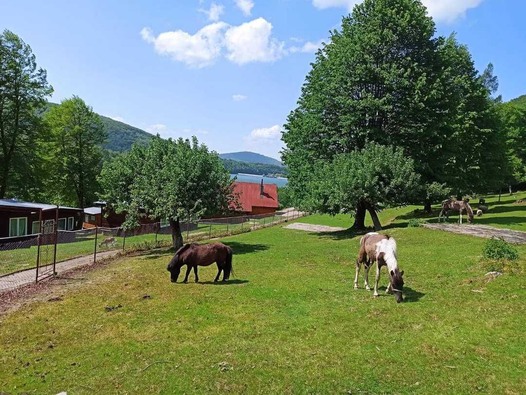 Noclegi wczasy domki domek Bieszczady nad jeziorem Solina Polańczyk