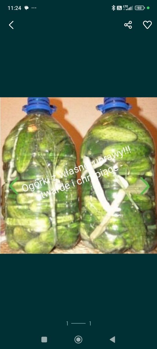 Ogórki małosolne dwie butelki 5l