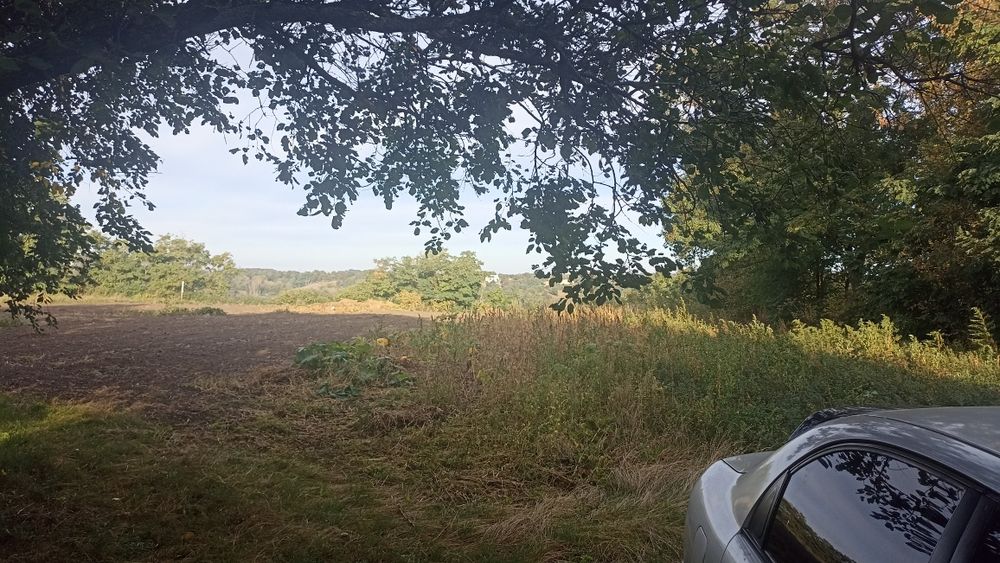 Земельна ділянка