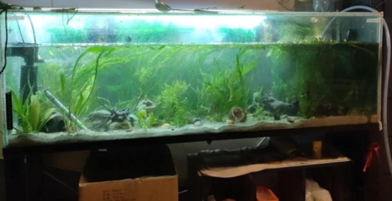 Akwarium 400L + Stojak