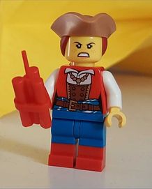 LEGO *BAM* Piratka 67043pb02 970c00pb0420