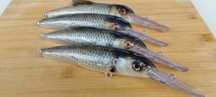 Wobler oklejony skóra Natural Fish 16cm 70g cast trolling