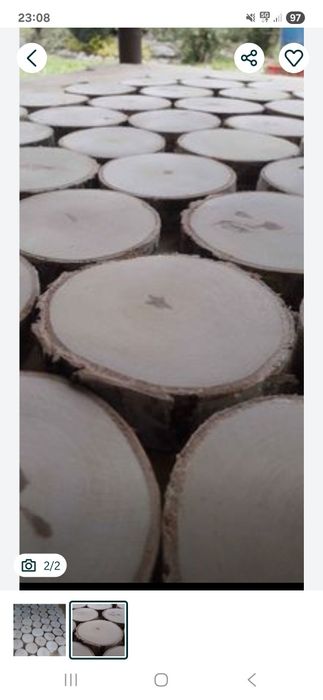 Plastry drewna brzozowego