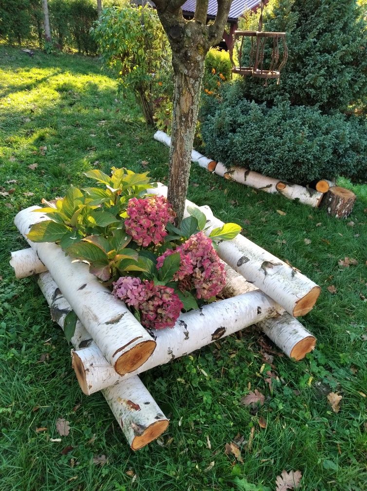 Dekoracje z brzozy patyki, pieńki, plastry, chrust