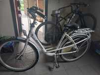 Rower holenderski Batavus