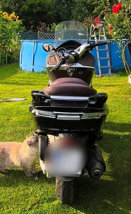 Poaggio x 10 ( kat. B) 125cm