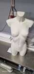 Busto de mulher e homem