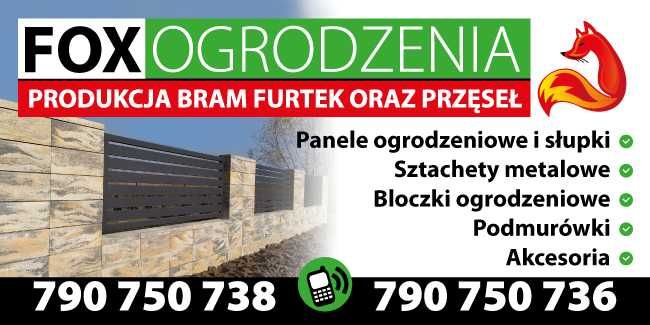 Panel ogrodzeniowy fi4/fi5 1,23 grafit, czarny, brązowy, zielony