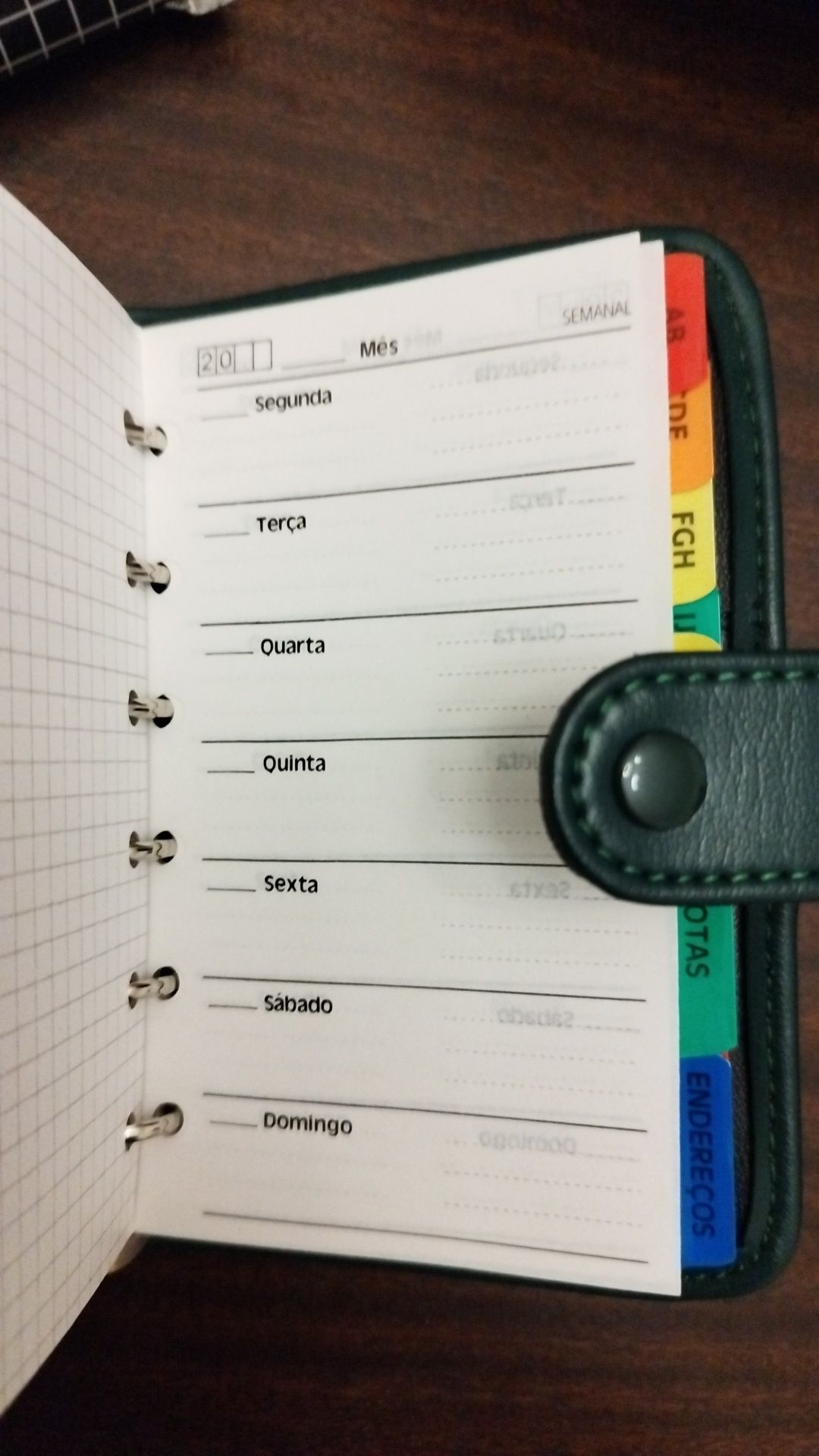 Filofax / agenda /planner sem data