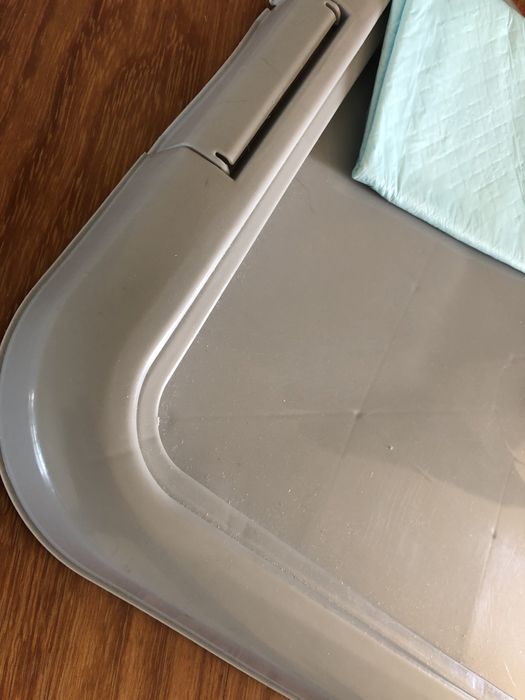 Puppy Trainer Flamingo