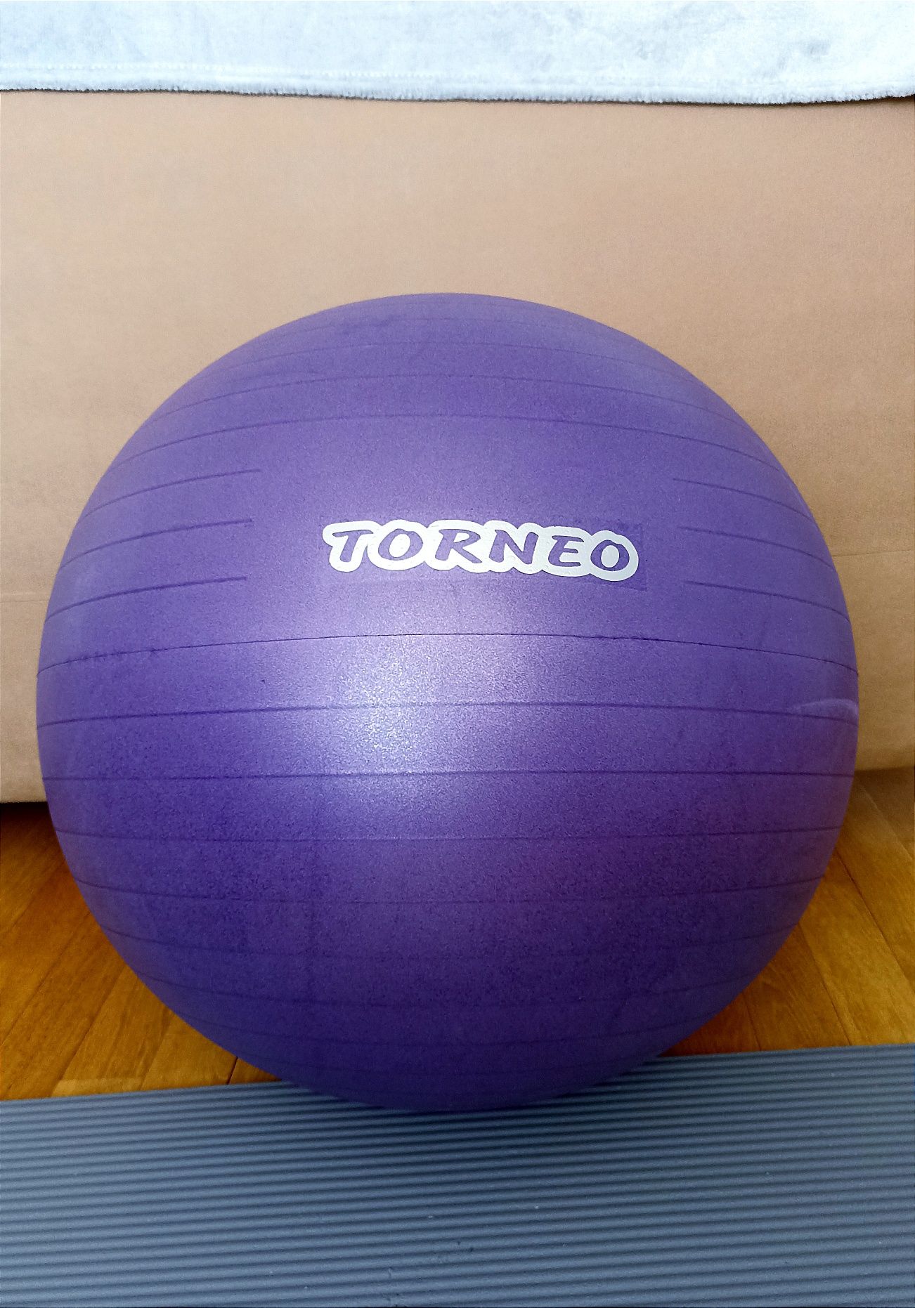 Фітбол fitball м'яч Торнео + НАСОС для йоги та пілатесу