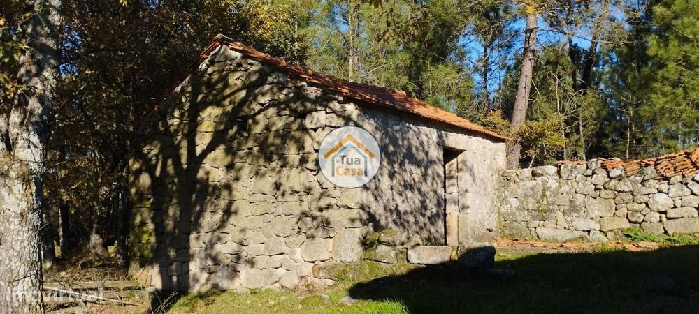 Quinta com Casa em Pedra com 5.455 m2 em Bodiosa a 10 km de Viseu