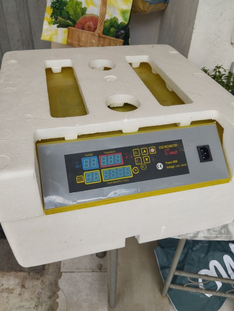 Chocadeira de 48 ovos de galinha  pouco usada
