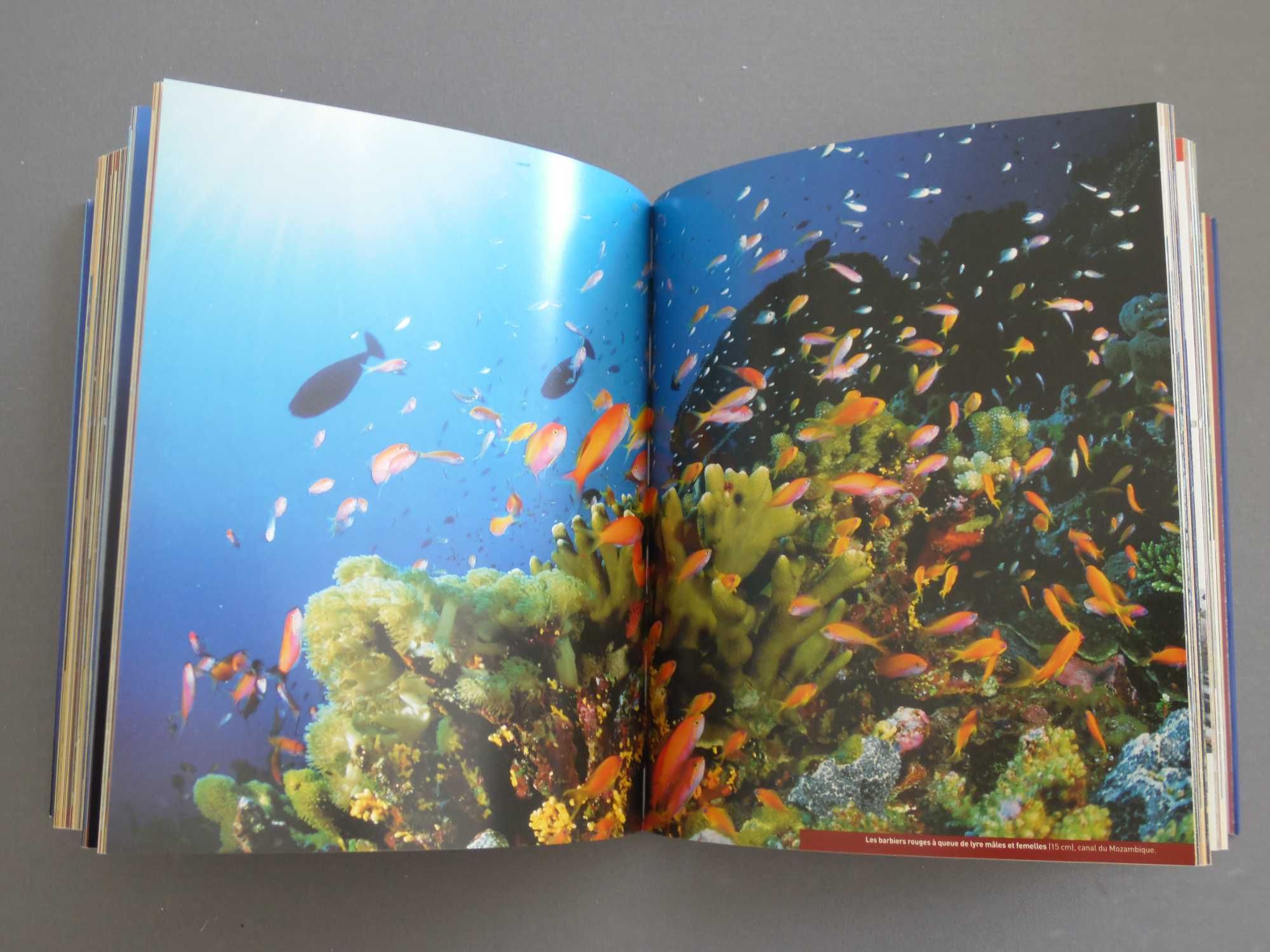Livro Planète Mers