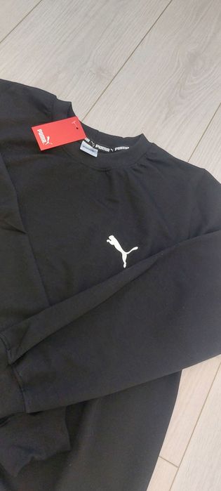 Свишот Свішот новий