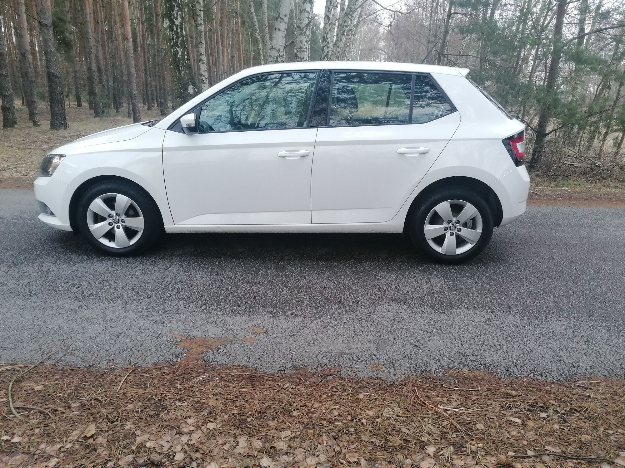 Skoda Fabia 2018 benzyna/gaz