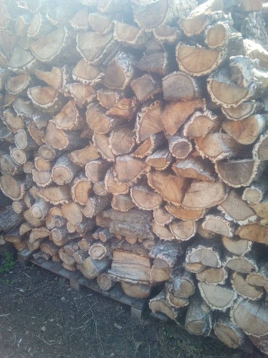 Lenha Carvalho e sobreiro