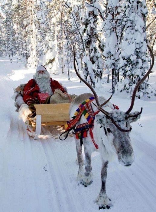 Різдвяний декор / Новорічний декор