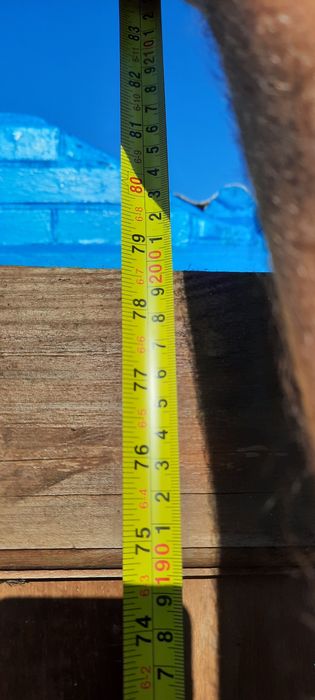 Продаються броньовані двері