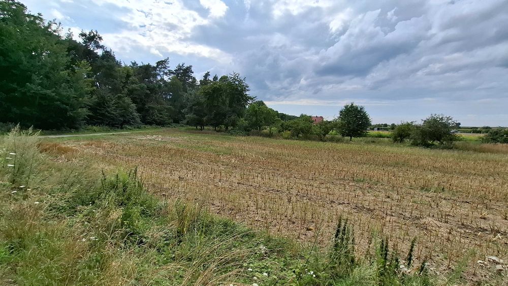 Działka 0,15ha - bezpośrednio przy lesie