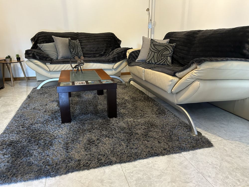 Vendo sofás, carpete, mesa de centro e movel preto