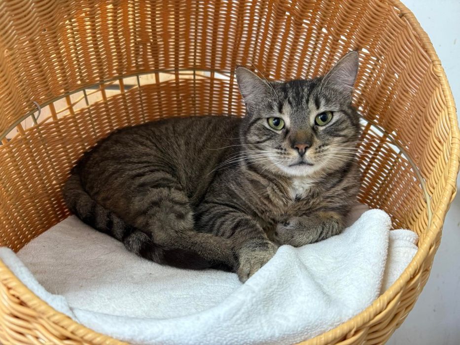 Helena szuka rodzinki