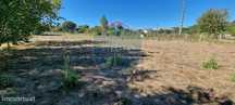 Terreno  Venda em Rio de Loba,Viseu