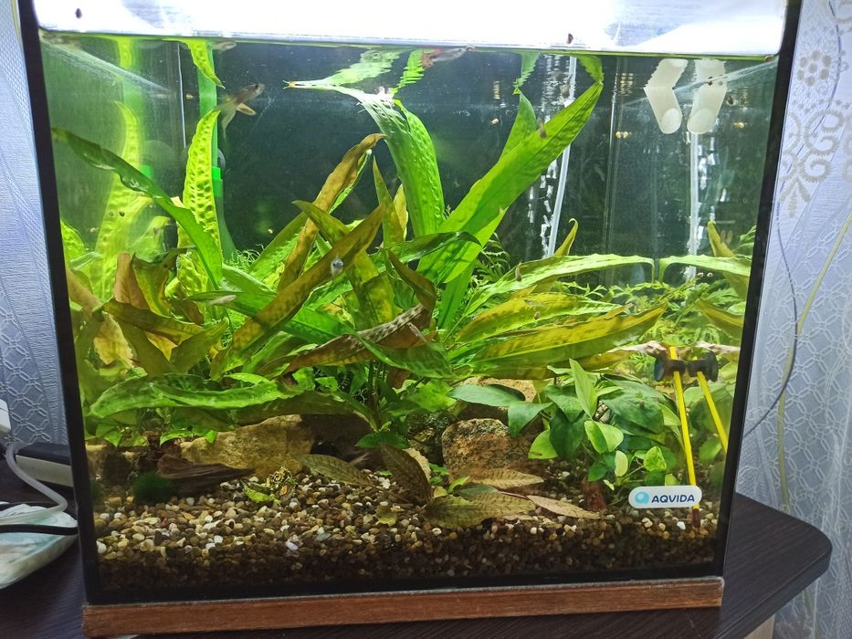 Продам аквариум 42л