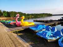 Domek nad jeziorem, plaża ,las  , Sieraków , wolne
