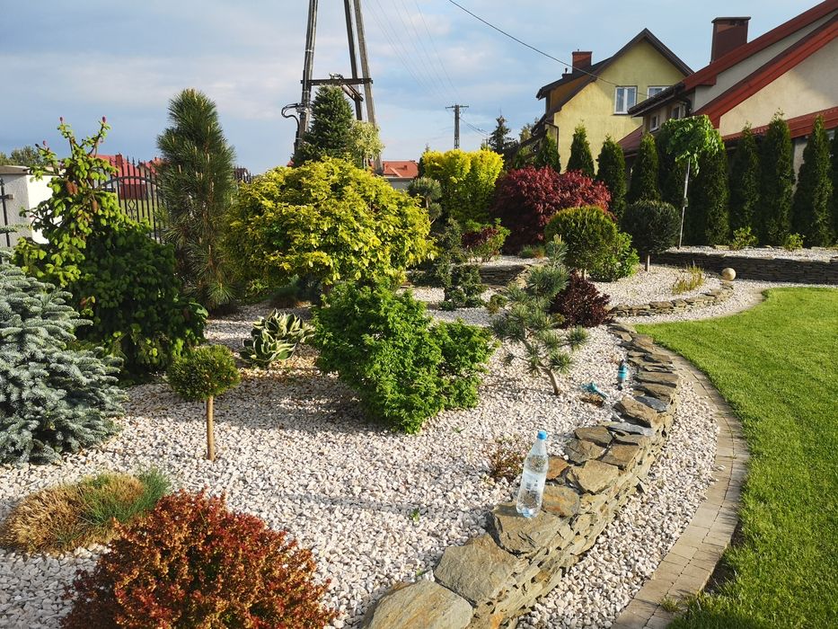 Kora kamienna kamienie ozdobne ogrodowe białe od 350 zł