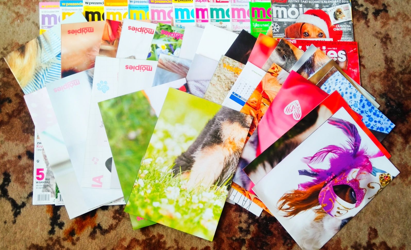 Magazyn gazeta miesięcznik czasopisma MÓJ PIES I KOT naklejki plakaty