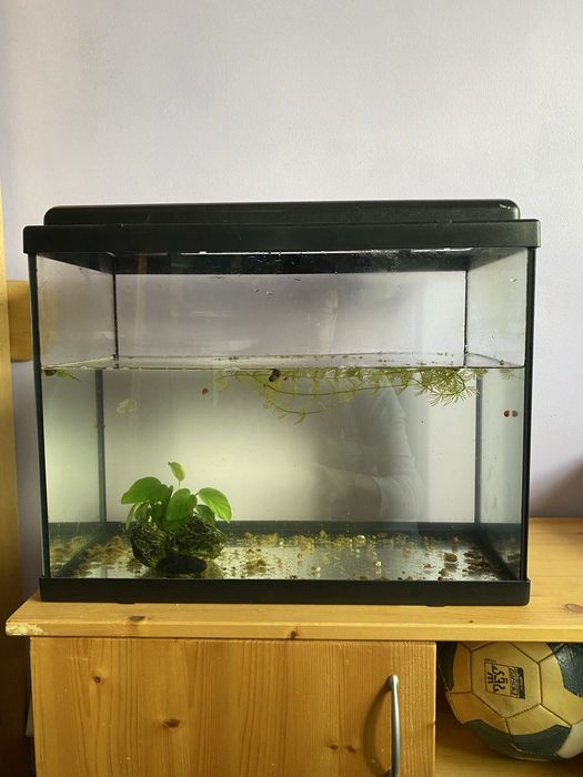 Aquario bom estado