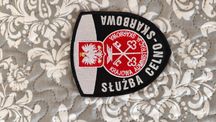 Emblemat służba celno-skarbowa