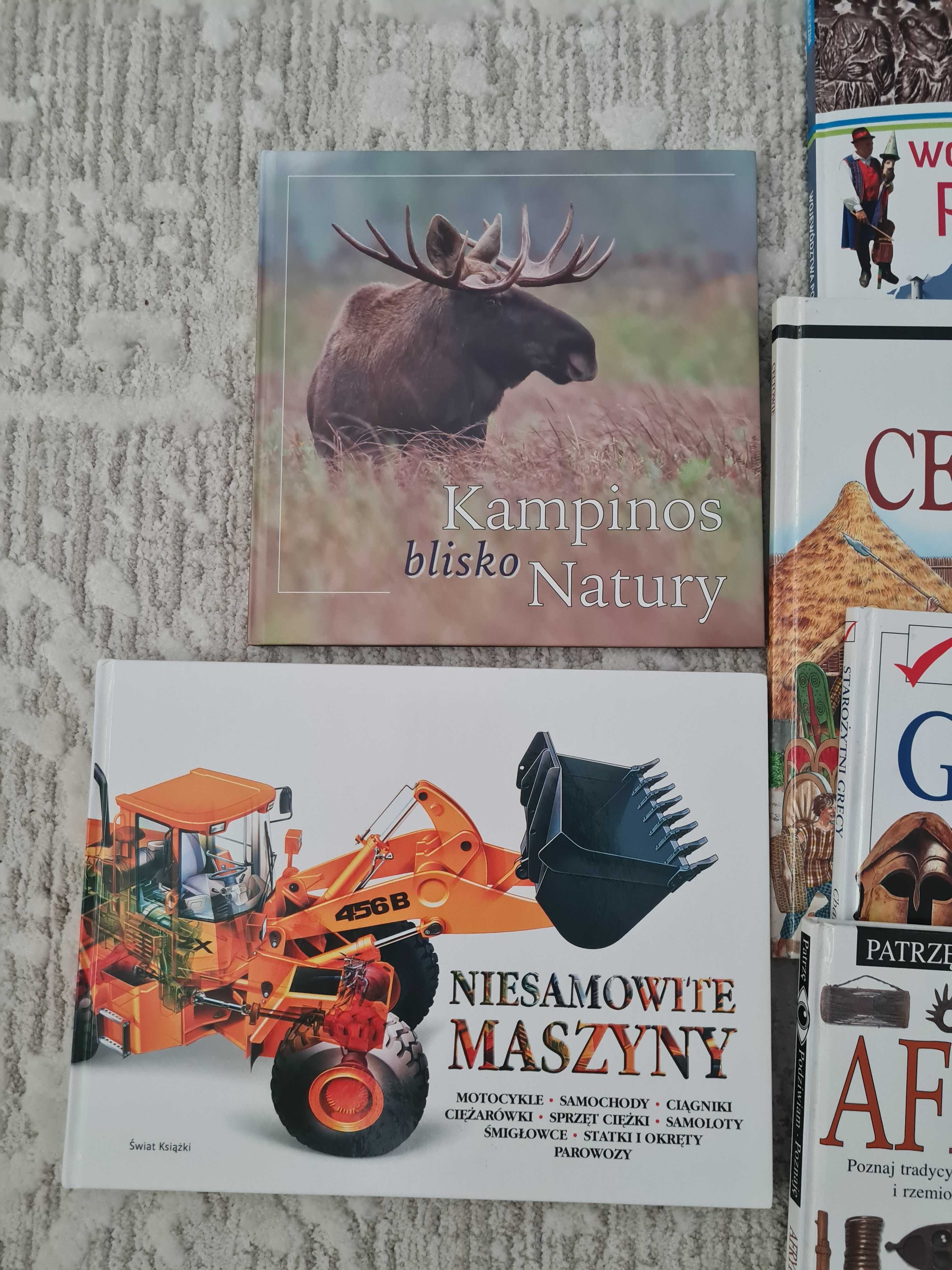 Książki albumy dla dzieci dinozaury rzym grecja starożytna