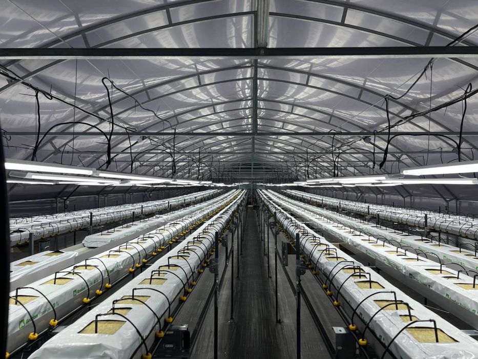 Технологічне тепличне господарство